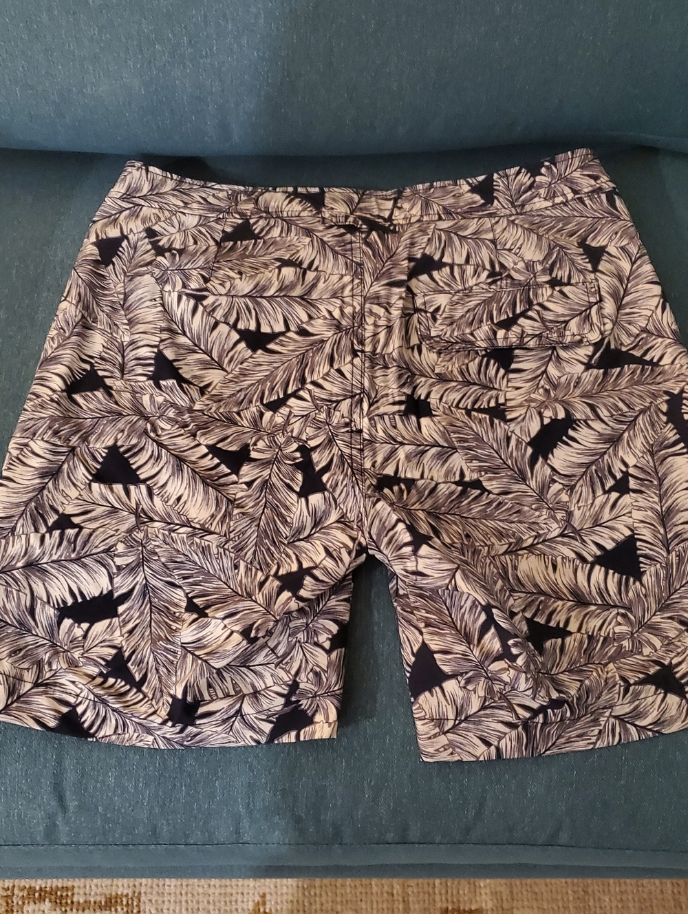 Onia Swim Trunks